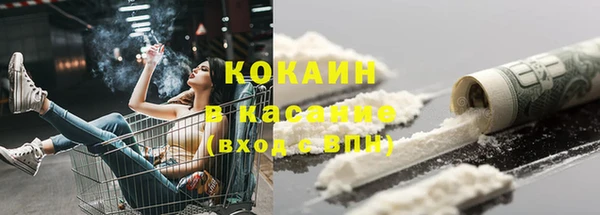 амф Вуктыл