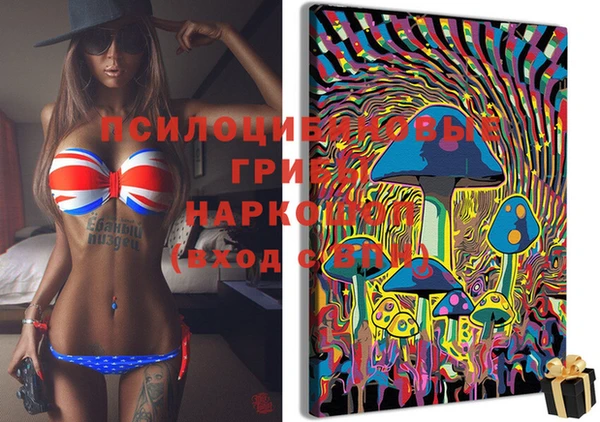 мдпв Нефтекумск