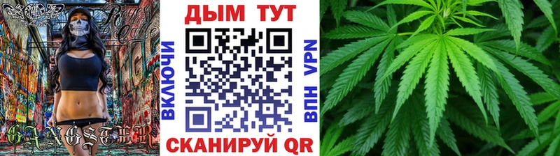 Конопля AK-47  Пестово 